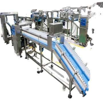 Factory Price Dough Roller, Boulangerie Machine, Pizza Machinery and Equipment