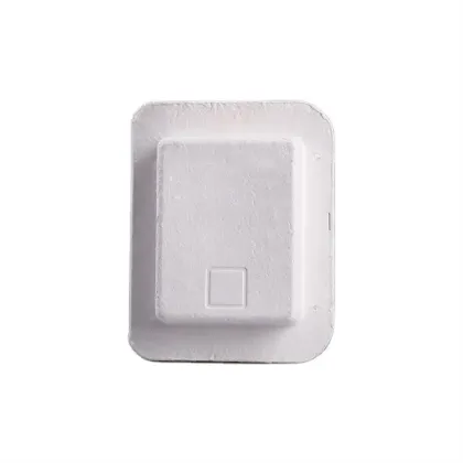 Pulp Molded Bagasse Paper Nuts Kernels Packaging Box