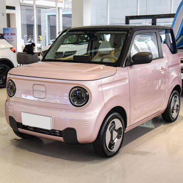 Geely Panda Mini: New Energy EV with 100km/h Max Speed and 200km Range - Fast Charging Electric Car