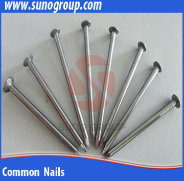 Custom wholesale medical nail brush