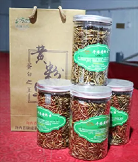 High Protein Foods To Feed Dogs