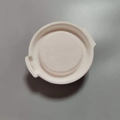 Bio-degradable Biodegradable Packaging Box,White Box