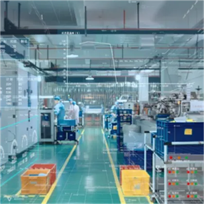 Persimmon Powder Persimmon Extract Powder Persimmon