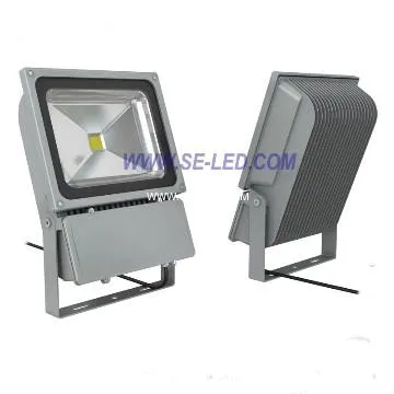 100W RGB LED floodlight