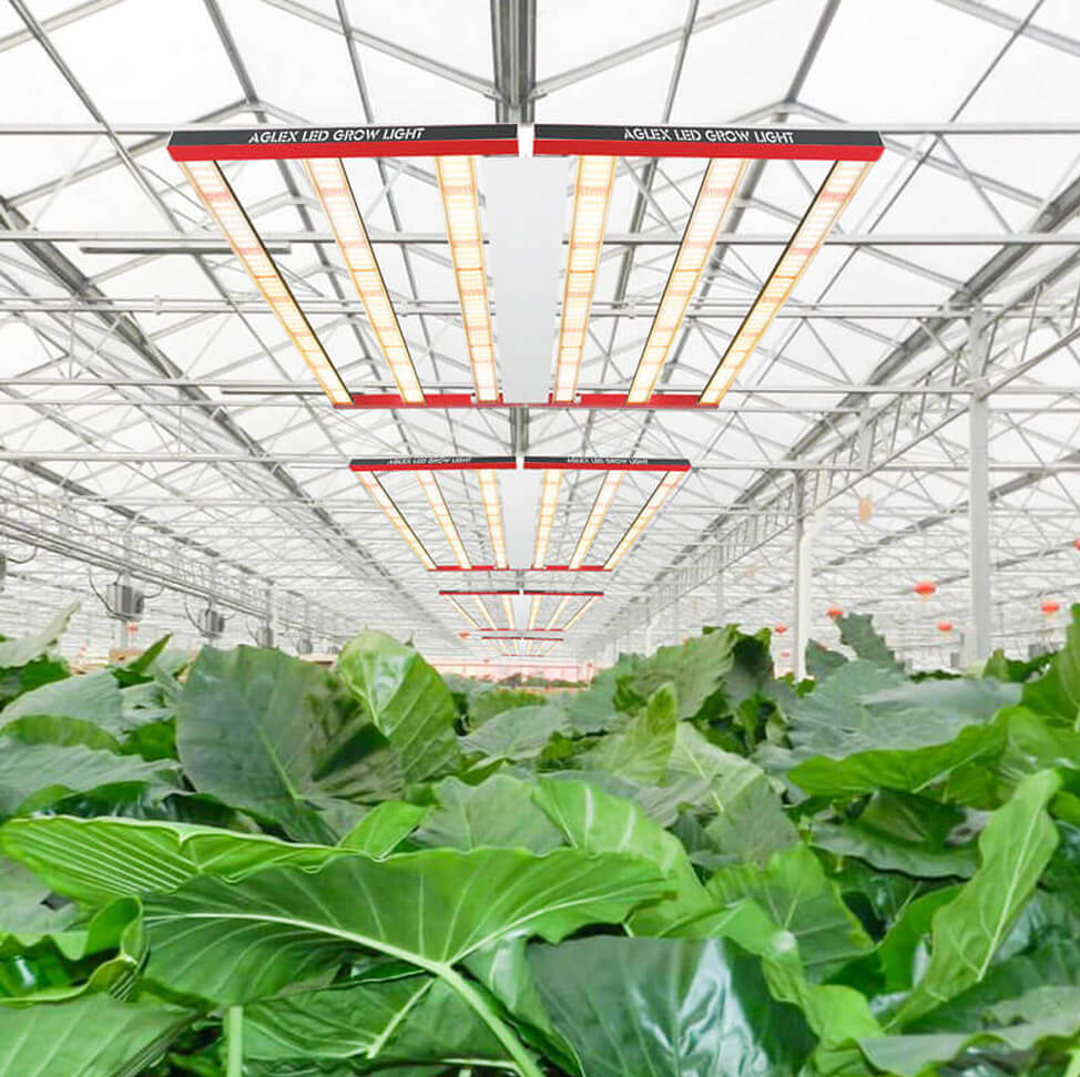 led grow light t8