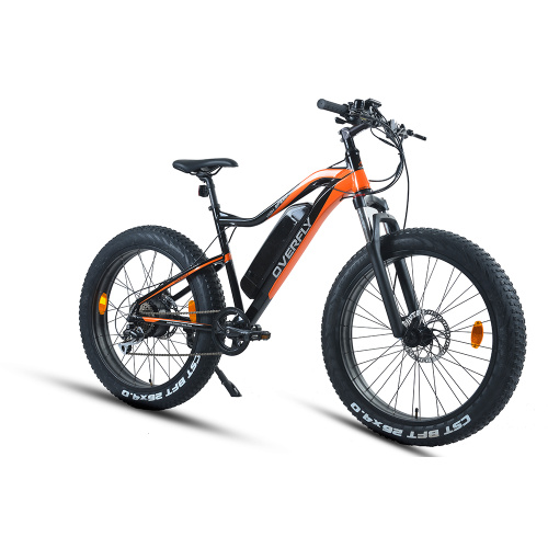 XY-Warrior-W Electric mountain bike with hub motor