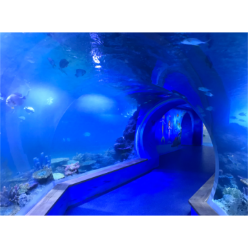 Túnel de aquário acrílico transparente personalizado
