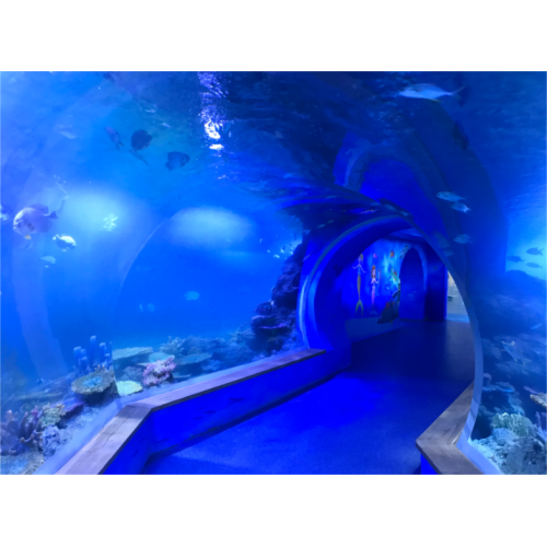 Tunnel d&#39;aquarium acrylique transparent personnalisé