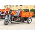 Elektrischer Mini-LKW-Fracht-Dumper-Dreirad