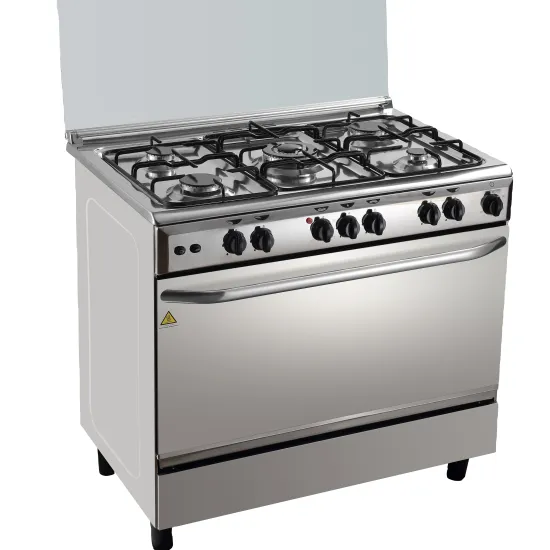 Professional 5 Burner Gas Range Oven with Spray Coating