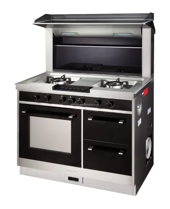 4 Burner Integrated Cooker with Gas Stove for Kitchens