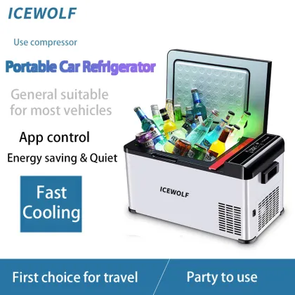 12v/24v portable car refrigerator