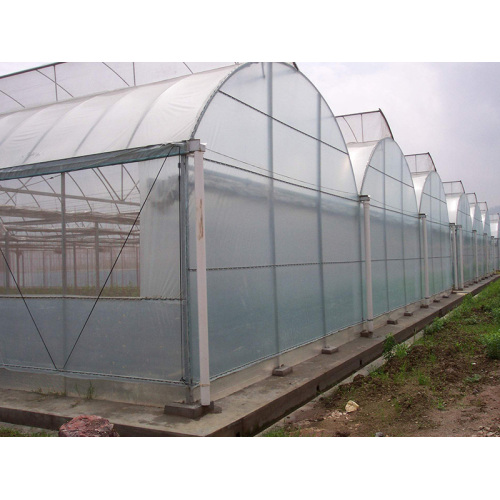 Functional Film Multi Span Greenhouse