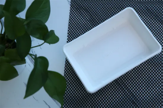 Disposable Packaging Paper Box