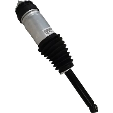 Airmatic Spring Suspension Shock Absorber Strut for Tesla Model S REAR RWD