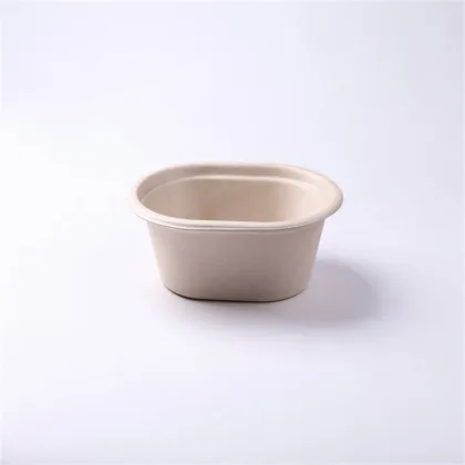 Biodegradable Fast Food Container/Food Box/Lunch Box