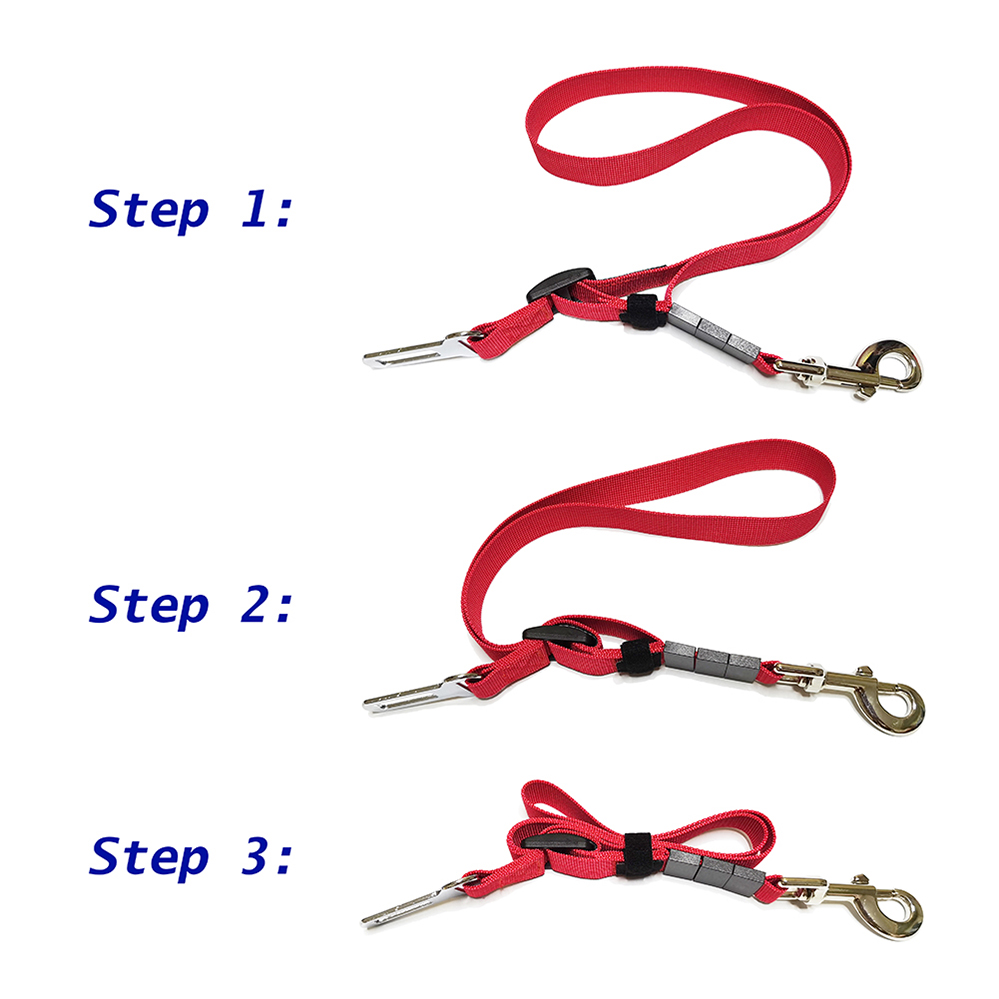 flexi dog leash