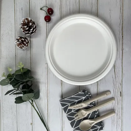 dinner plate sugarcane disposable plates degradable dish