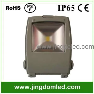 led floodlighting 50W