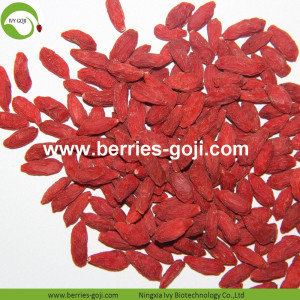 Factory Supply Fruits Top Quality Diet Goji Berry