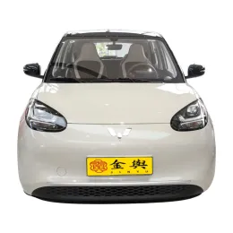 Wuling Bingo 2025 model