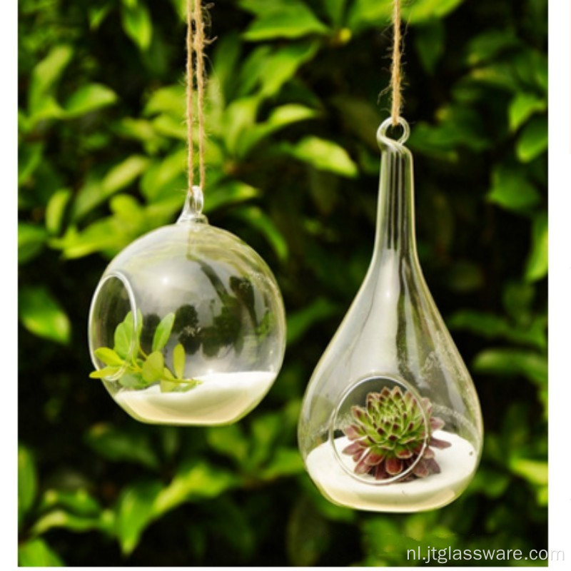 Glazen terrarium voor vetplanten