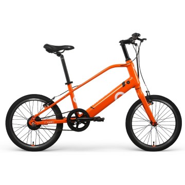 Rear Motor Small Electric Bike