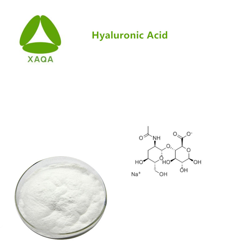 Hyaluronic Acid