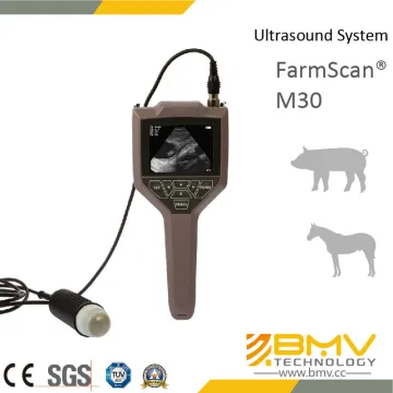 Farmscan M30 Ultrasound Scanner for Swine Ovine