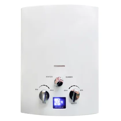 Flue type gas water heater for camping