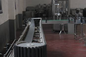 Overturn Bottle Pasteurizer