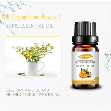 Bulk wild chrysanthemum flower oil extract essential oil