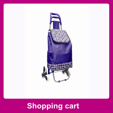 Foldable shopping pushcart