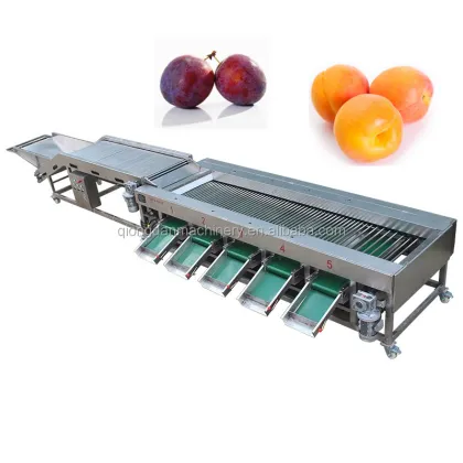 Vegetable and Fruit Sorting and Grading Machine