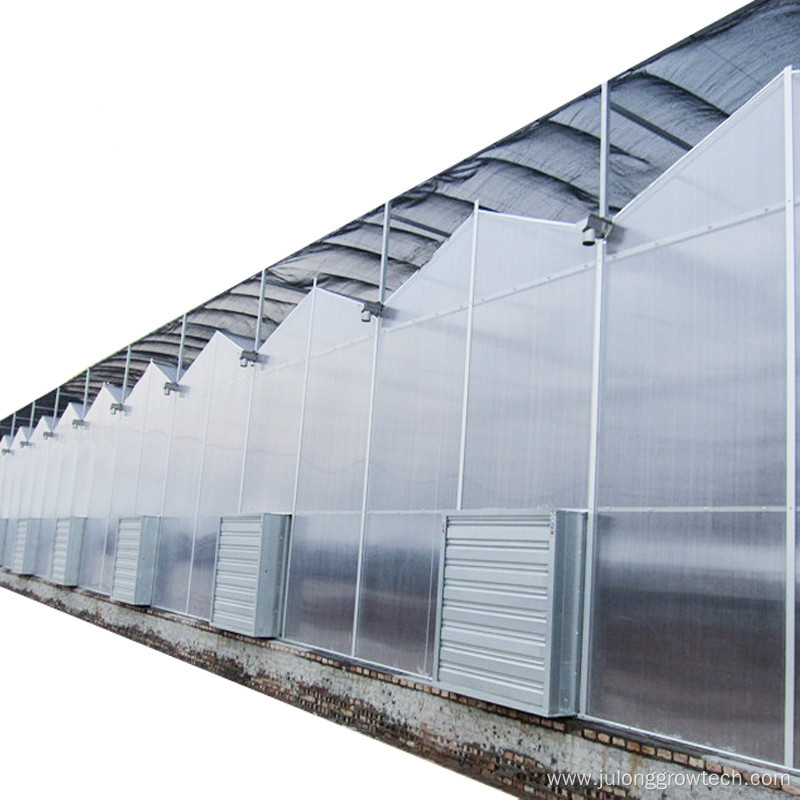 Multi Span Agricultural Polycarbonate Sheet Greenhouse