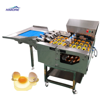 Jalur Produksi Pemrosesan Telur: Kumpulan Cairan Putih/Kuning Anda &amp; Mesin Pemutus Telur/Kerupuk