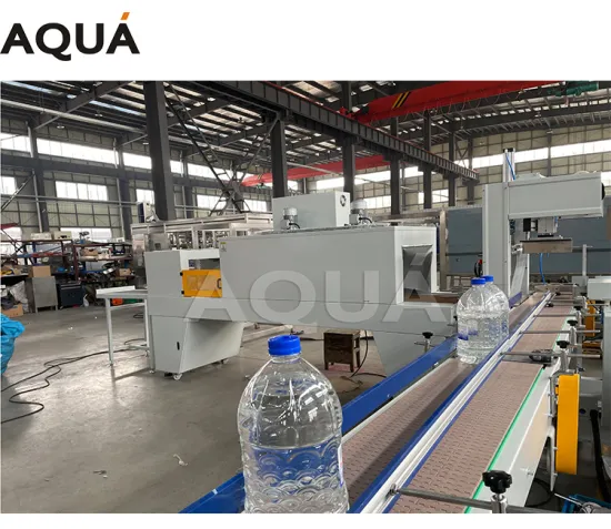 Automatic PE Film Wrapping Machine | Shrink Wrapping Machine | Thermal Packing Machine