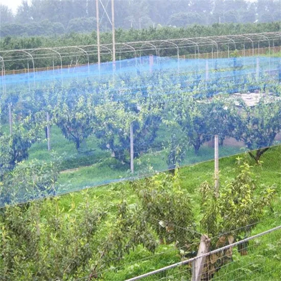 Fruit Tree Safety Plastic Anti Bird Netting