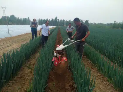 Diesel Power Tiller Cultivator Agricultural Machinery Equipment