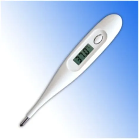 Clinical &amp; Household Basal Digital Thermometer 