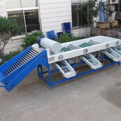 Industrial Fresh Fruits Processing Machinery: Auto Industrial Cherries Sizing, Sorter, Grader