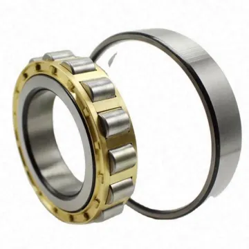 China Supply Cheap Cylindrical Roller Bearing N1021 105x160x26mm