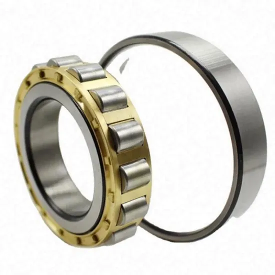 China Supply Cheap Cylindrical Roller Bearing N1021 105x160x26mm