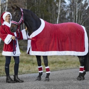 Custom Winter Equestrian Horse Rug Clothes for Christmas Decorations