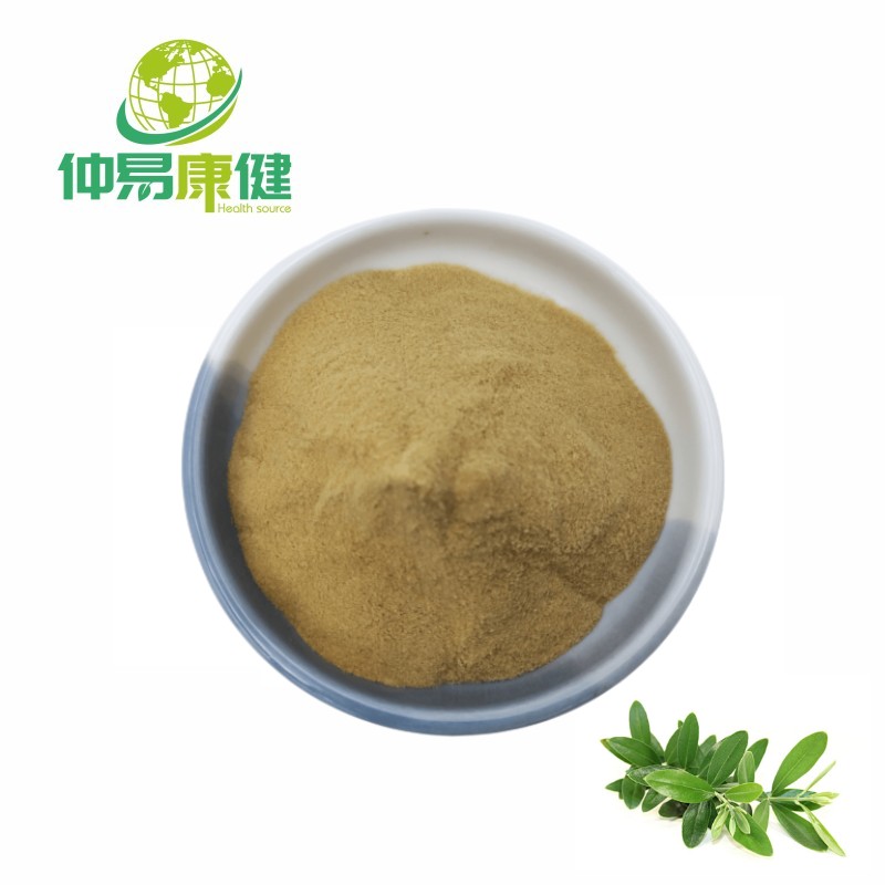 Olive Polyphenols Olive Leaf Extract