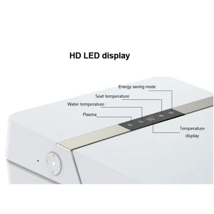 Luxury Intelligent Electric Bidet Smart Toilet