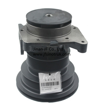 VG1246060094 VG1246060035 Howo A7 Water Pump