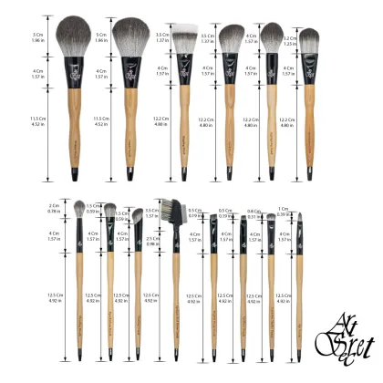 Premium Beauty Brush Kit