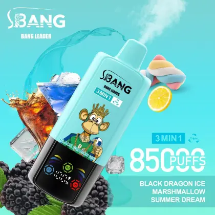 Bang Leader 85000Puffs Disposable Vape