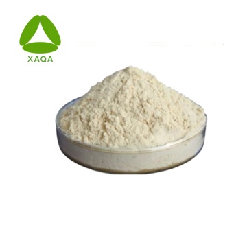 Synanthrin 98% Inulin Powder Chicory Root Extract